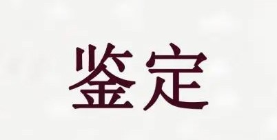 檔案鑒定服務(wù)